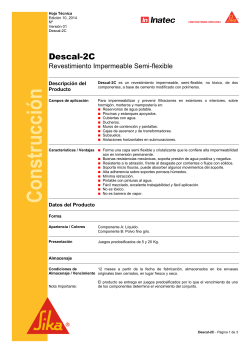 Descal-2C - Sika Paraguay