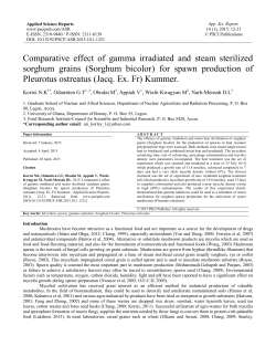 Comparative effect of gamma irradiated and steam sterilized