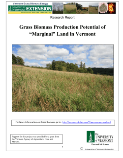 Grass Biomass Production Potential of âMarginalâ Land in Vermont