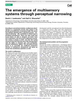 The emergence of multisensory systems through perceptual narrowing