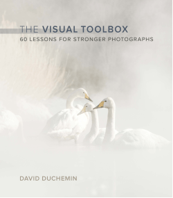 The Visual Toolbox: 60 Lessons for Stronger