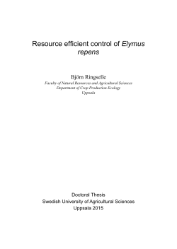 Resource efficient control of Elymus repens