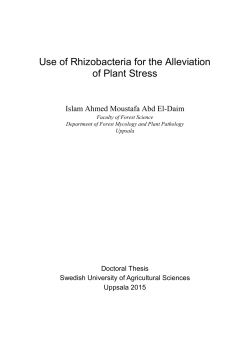 Use of Rhizobacteria for the Alleviation of Plant Stress