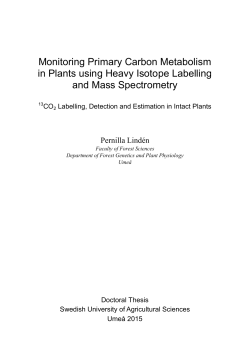 Monitoring Primary Carbon Metabolism in Plants using Heavy