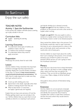 Sun smart lesson plan - Publications: Cancer Research UK