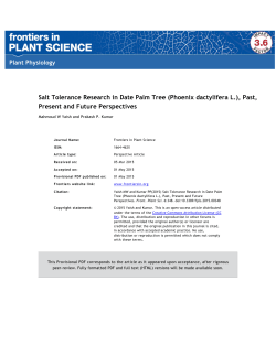 Salt Tolerance Research in Date Palm Tree (Phoenix dactylifera L