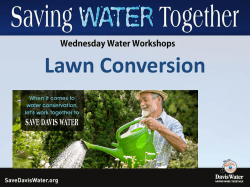 Lawn Conversion Workshop Presentations - the Public Works