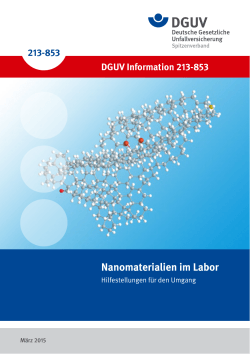 DGUV Information 213-853 âNanomaterialien im Labor