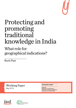 Protecting and promoting traditional knowledge in India