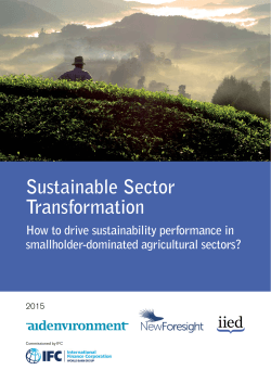 The Sustainable Sector Transformation Model