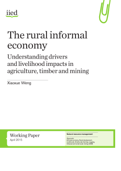 The rural informal economy - IIED