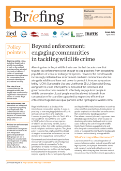 Beyond enforcement - IIED - International Institute for Environment