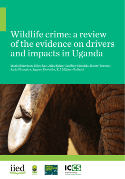 Wildlife crime - IIED - International Institute for Environment and