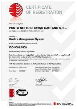 punto netto di griso gaetano srl - Punto Netto services provider FIAT