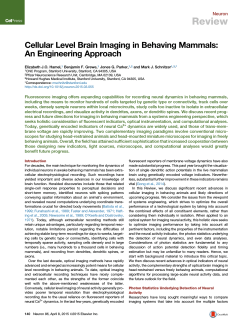 Cellular Level Brain Imaging in Behaving Mammals: An
