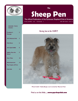 Sheep Pen - Pyrenean Shepherd Club of America