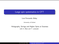 Large spin systematics in CFT