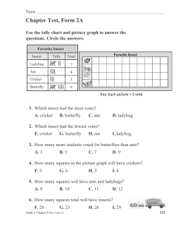 Chapter Test, Form 2A (continued)