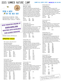 View printable version of camp offerings here.