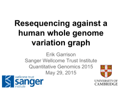 Resequencing against a human whole genome variation graph