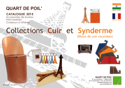 Collections Cuir et Synderme