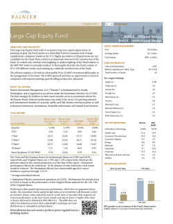 Large Cap Equity Fund