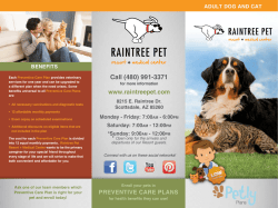 Adult Dog and Cat Preventive Care Plans