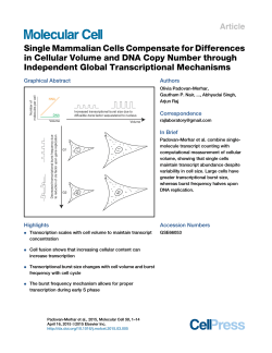 Single Mammalian Cells Compensate for Differences in