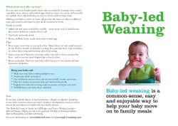 Baby-led Weaning leaflet