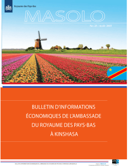 NL Ambassade Bulletin Ã©co MASOLO Avril 2015