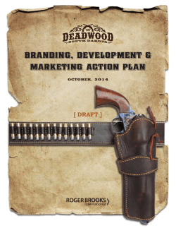 branding, development & marketing action plan