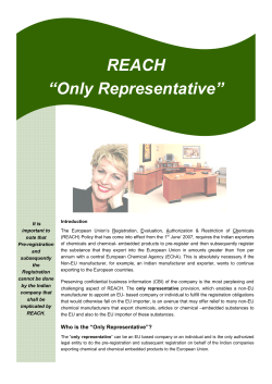 REACH âOnly Representativeâ