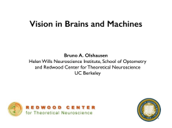Vision in Brains and Machines - Redwood Center for Theoretical