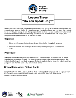 Lesson Three âDo You Speak Dog?â