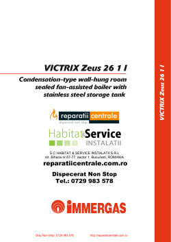 VICTRIX Zeus 26 1 I - ReparatiiCentrale.com.ro