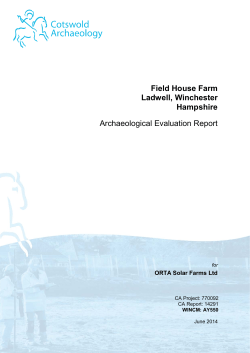 Report - Archaeological Reports Online