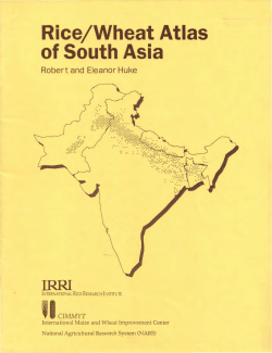 Rice/Wheat Atlas of South Asia