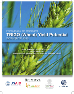 TRIGO (Wheat) Yield Potential