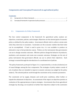Components and Conceptual Framework in agricultural policy