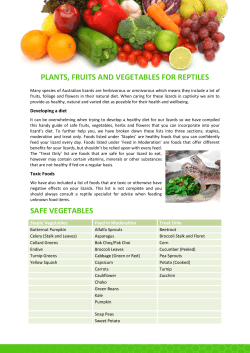 Guide to Plants, Fruits and Vegetables for your Lizards