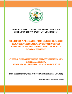 Cluster Approach -Draft for SC - iddrsi