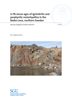 U-Pb zircon ages of ignimbritic and porphyritic metarhyolites