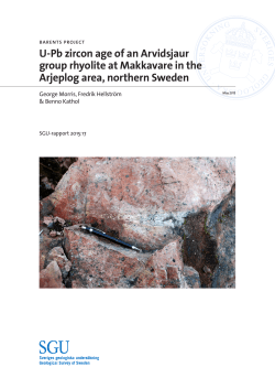 U-Pb zircon age of an Arvidsjaur group rhyolite at Makkavare