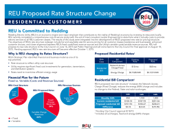 REU Proposed Rate Structure Change