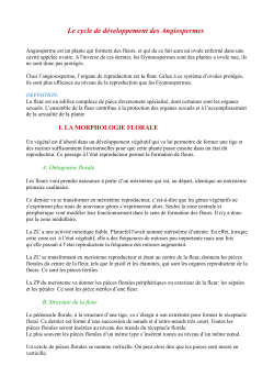 Cycle angio - Page d`accueil