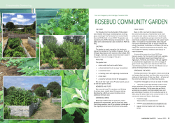 Sustainable Gardening â Rosebud Community Garden