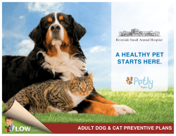 A HEALTHY PET STARTS HERE. - Riverside Small Animal Hospital