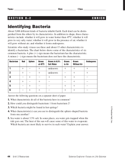 8-2 Enrich: Identifying Bacteria