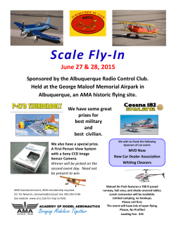 Scale Fly-In