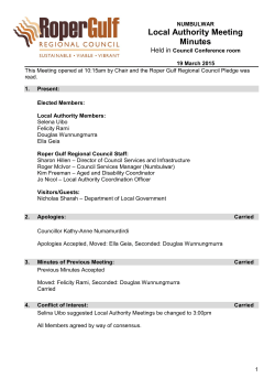 Local Authority Meeting Minutes